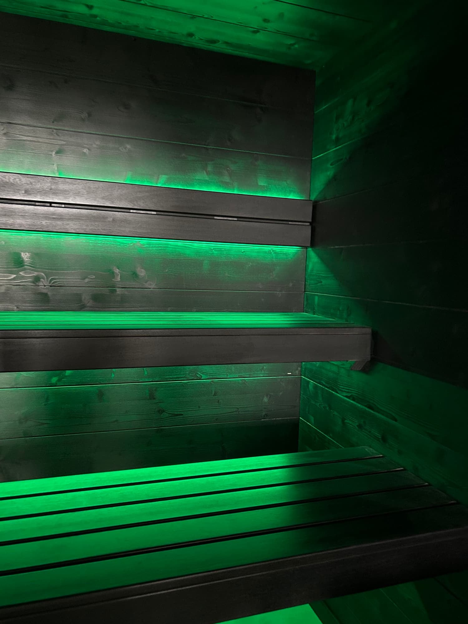 Professional Finnish Saunas, photograph 20 of 21