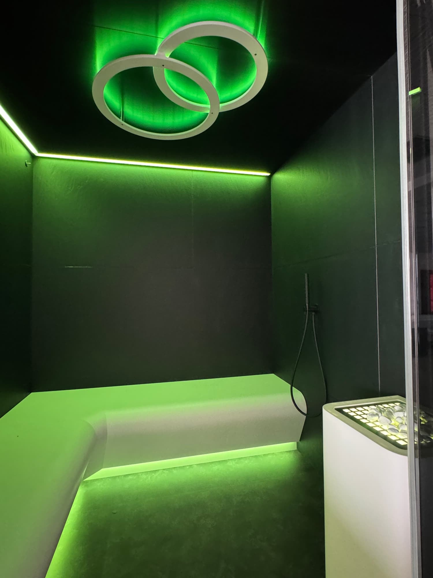 Professional Steam Rooms, photograph 9 of 17