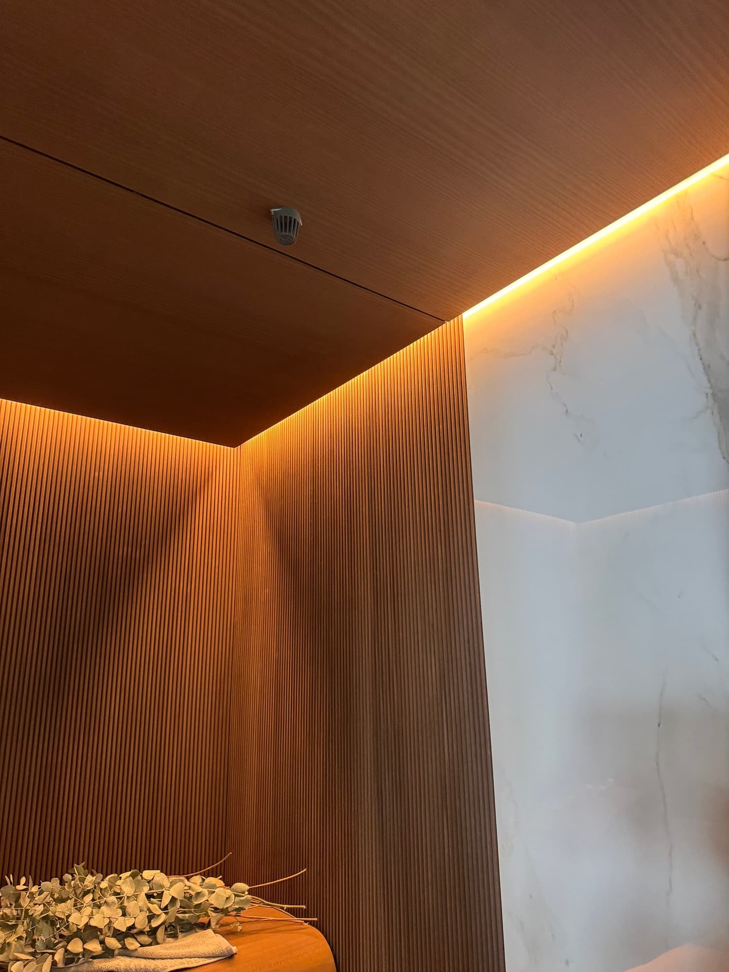 Professional Finnish Saunas, photograph 11 of 21