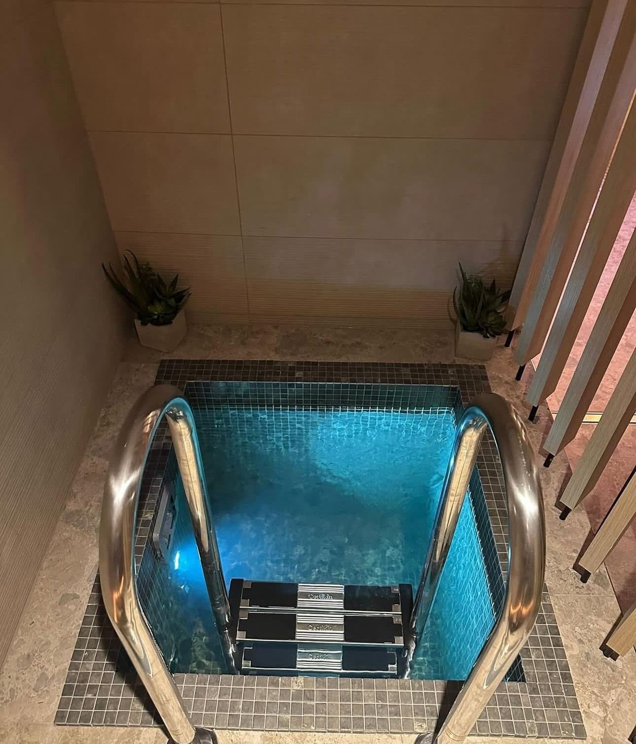 Cold Water Therapy, photograph 13 of 16