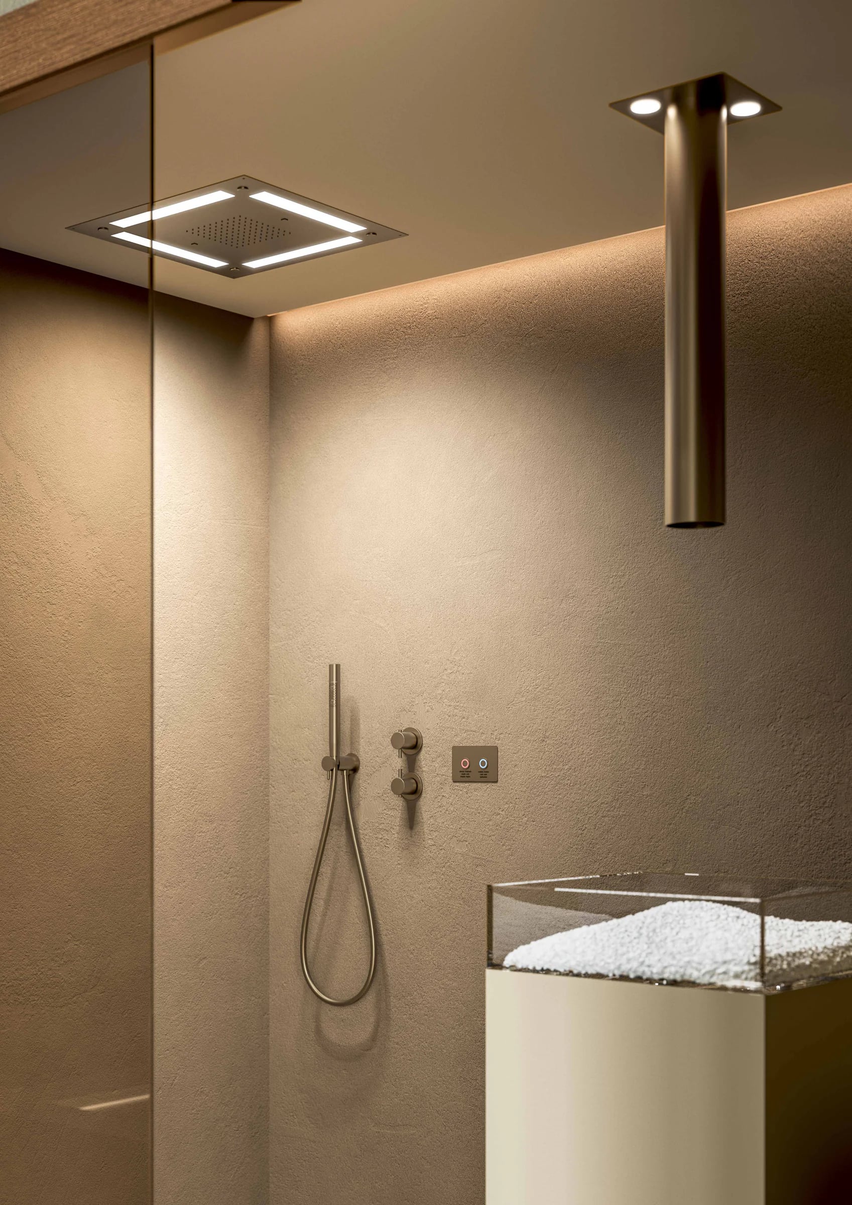Overhead Shower within a contemporary wellness space